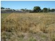 Lot 7 SIMSON STREET, Carisbrook VIC 3464