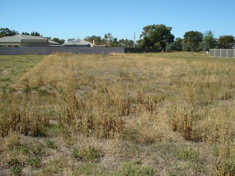 Lot 7 SIMSON STREET, Carisbrook VIC 3464