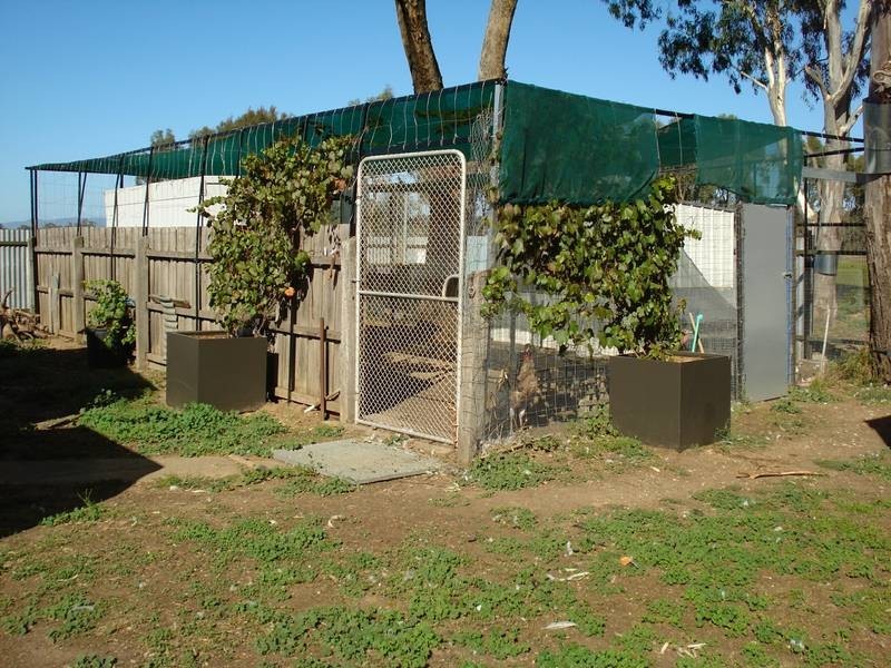 16 SCHOOL ROAD, Maryborough VIC 3465