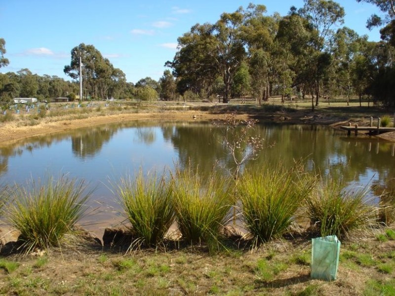 33 Menzies Drive, DAISY HILL, Maryborough VIC 3465