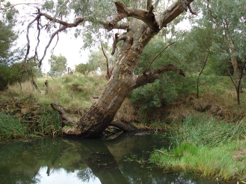 34-36 BUCKNALL STREET, Maryborough VIC 3465