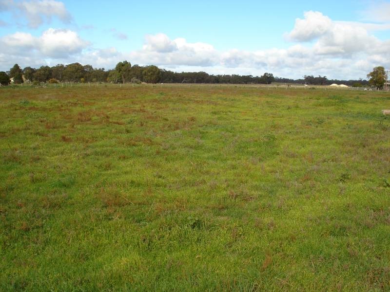 52 VICTORIA STREET, Carisbrook VIC 3464