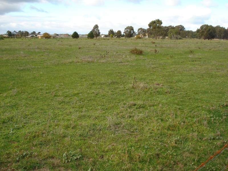 52 VICTORIA STREET, Carisbrook VIC 3464