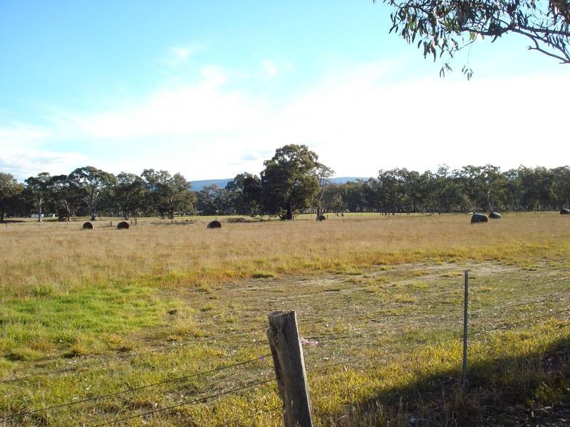 16 GUMTREE LANE, Avoca VIC 3467