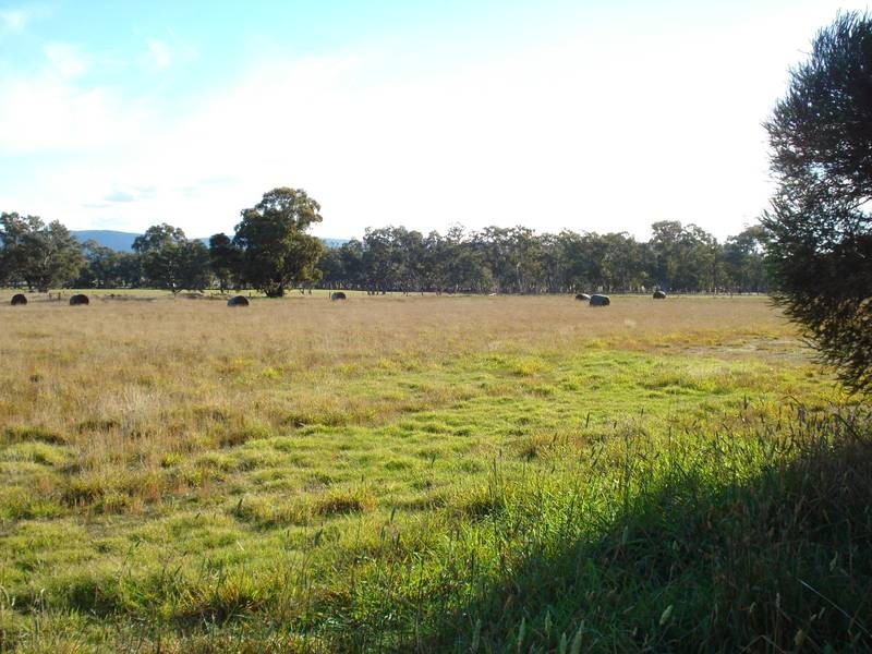 16 GUMTREE LANE, Avoca VIC 3467