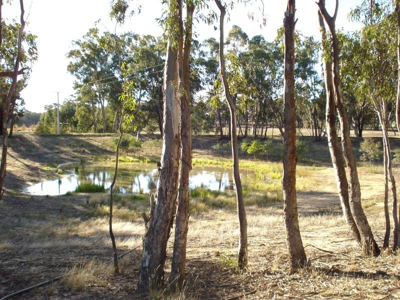 16 GUMTREE LANE, Avoca VIC 3467