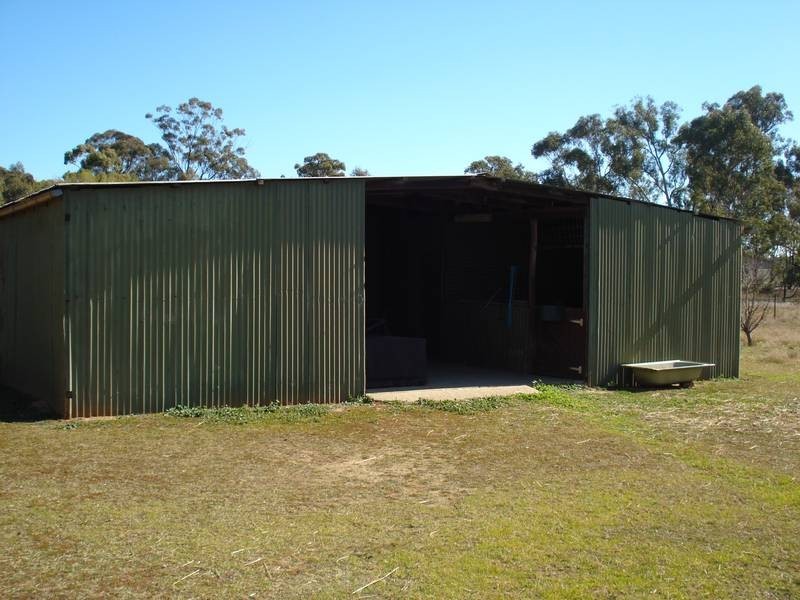 223 TARNAGULLA- EDDINGTON ROAD, Waanyarra VIC 3551