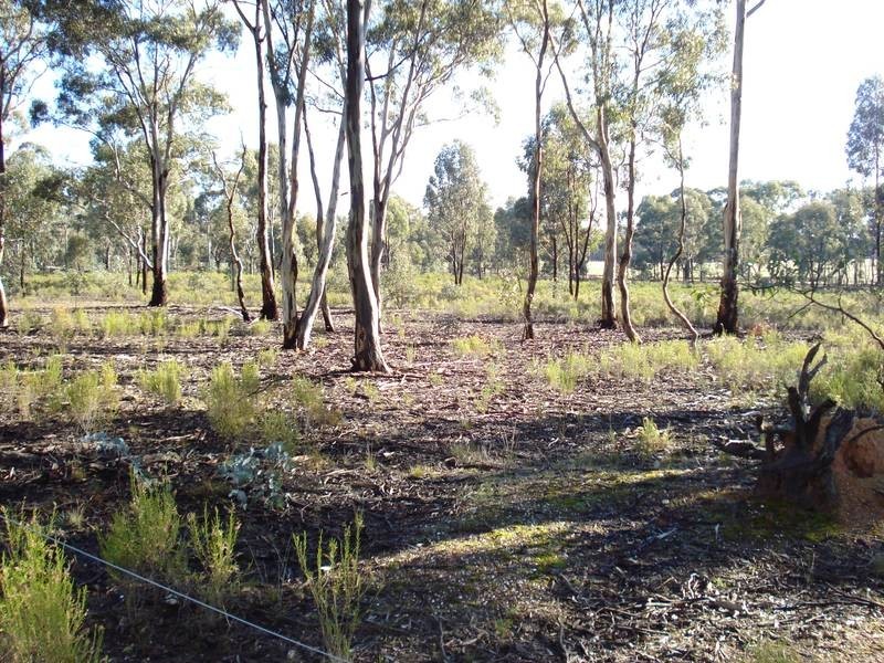 41 & 42 GEORGE STREET, Bet Bet VIC 3472