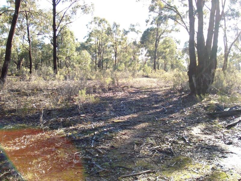 41 & 42 GEORGE STREET, Bet Bet VIC 3472