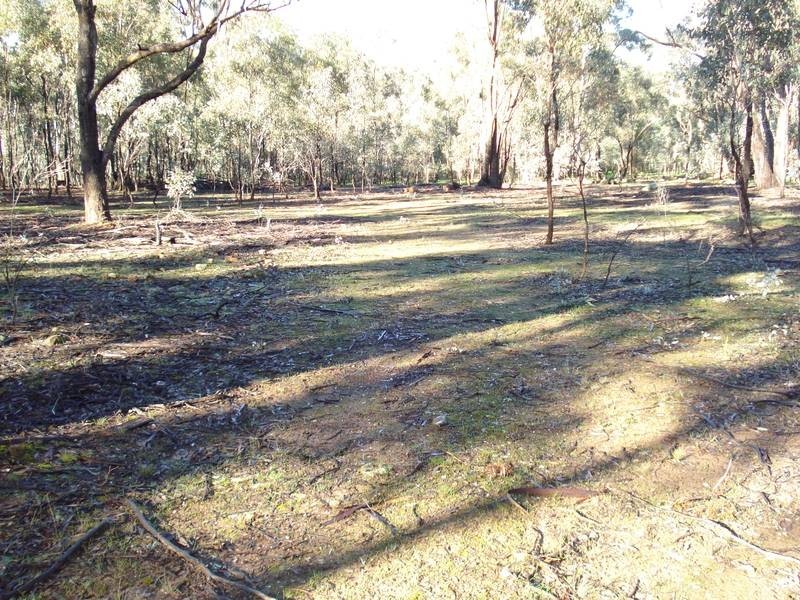 41 & 42 GEORGE STREET, Bet Bet VIC 3472