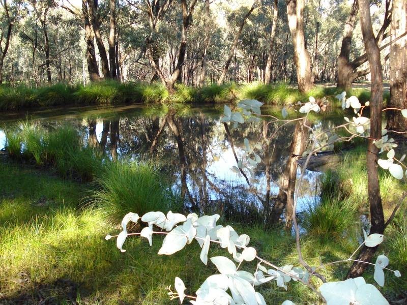 41 & 42 GEORGE STREET, Bet Bet VIC 3472