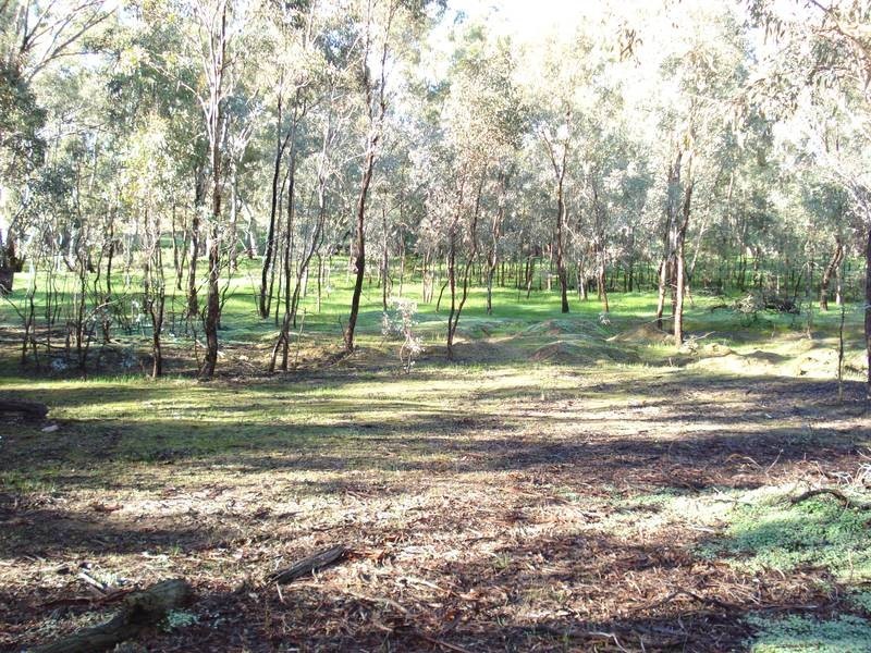 41 & 42 GEORGE STREET, Bet Bet VIC 3472