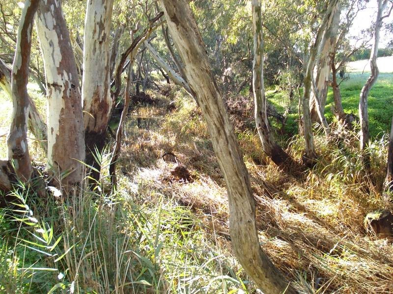 41 & 42 GEORGE STREET, Bet Bet VIC 3472