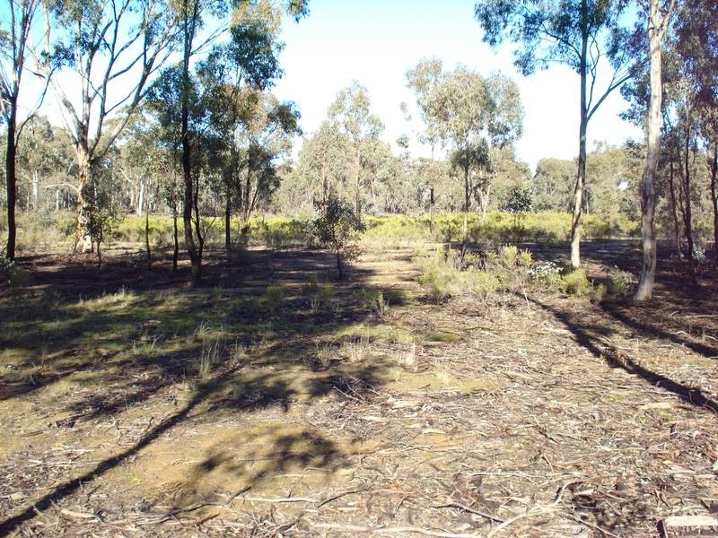 41 & 42 GEORGE STREET, Bet Bet VIC 3472