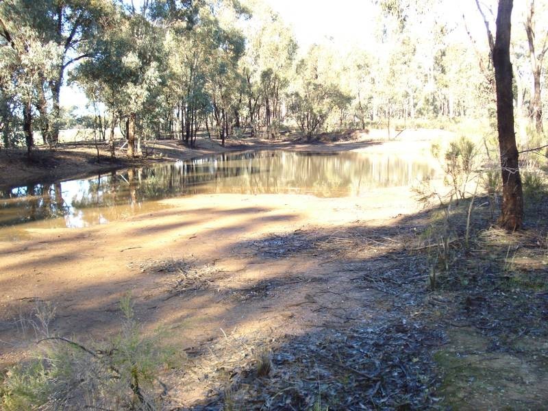 41 & 42 GEORGE STREET, Bet Bet VIC 3472