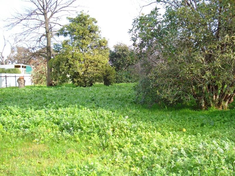 49 KENNEDY STREET, Maryborough VIC 3465