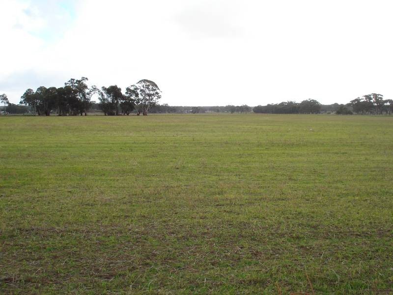 CORNER PLEASANT & WILLS STREET, Carisbrook VIC 3464