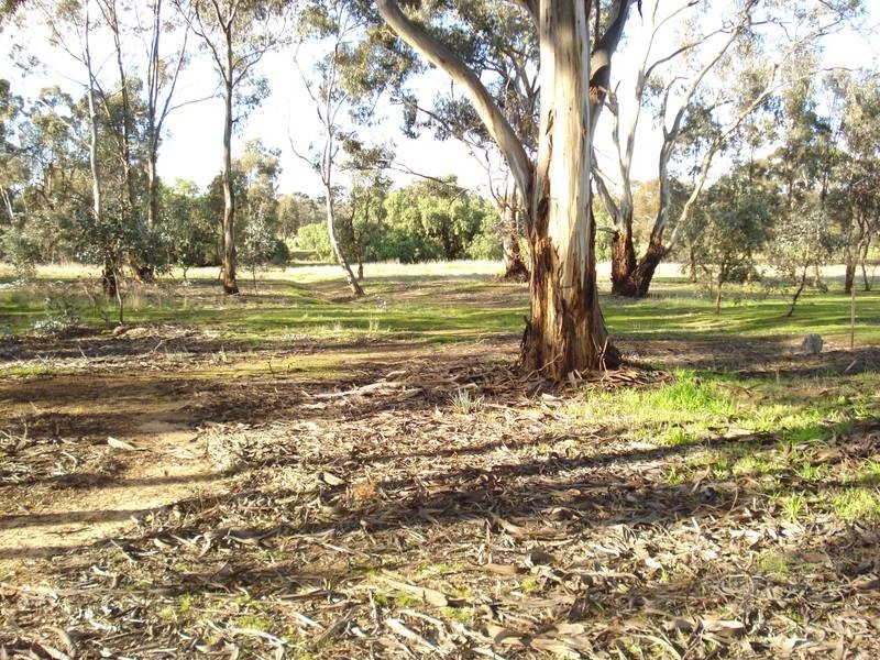 CORNER DENYER & LOGAN ROAD, Bowenvale VIC 3465