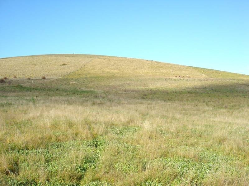 80 HOOPERS ROAD, Dunach VIC 3371