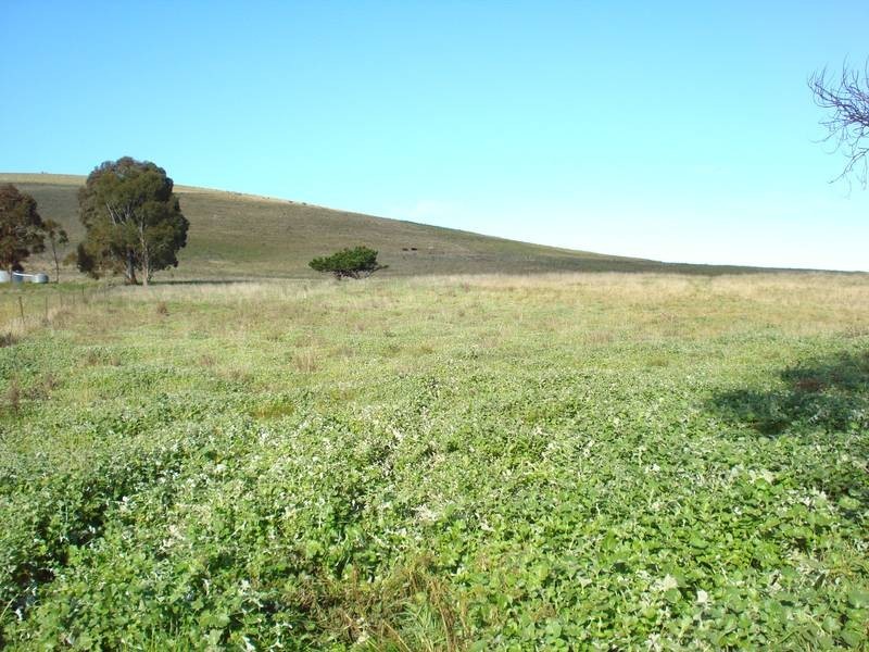 80 HOOPERS ROAD, Dunach VIC 3371