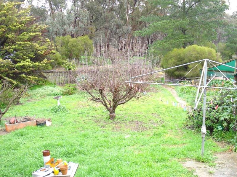 76 DERBY ROAD, Maryborough VIC 3465