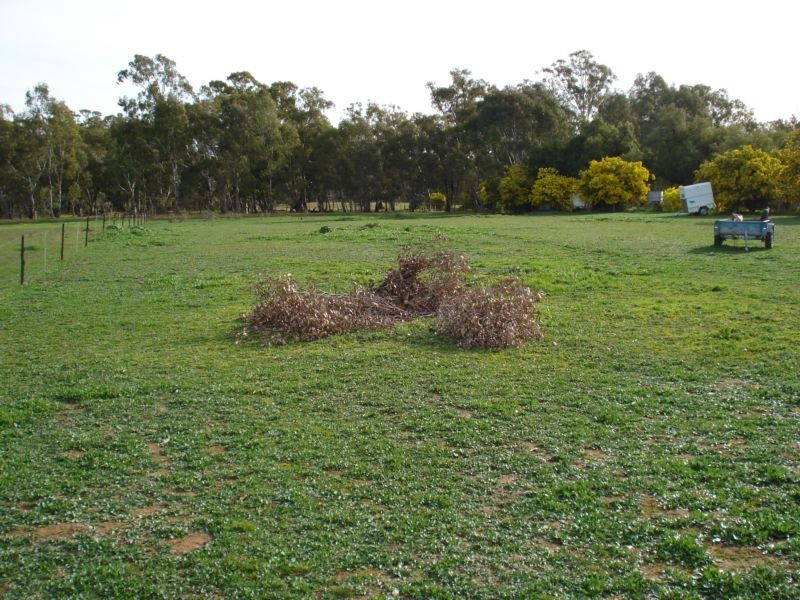 54 MIDDLE ROAD, Bromley VIC 3472