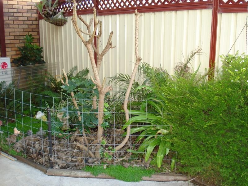 22 HALLS STREET, Carisbrook VIC 3464