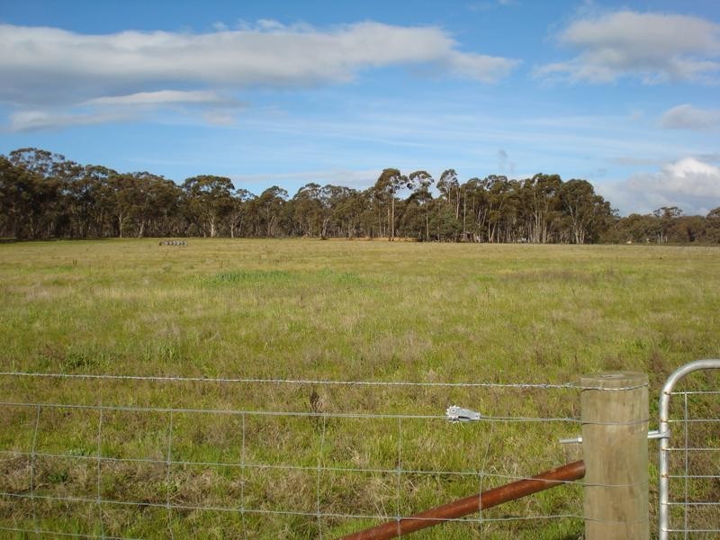 crn BET BET CREEK & BOROMEO RD, Timor VIC 3465