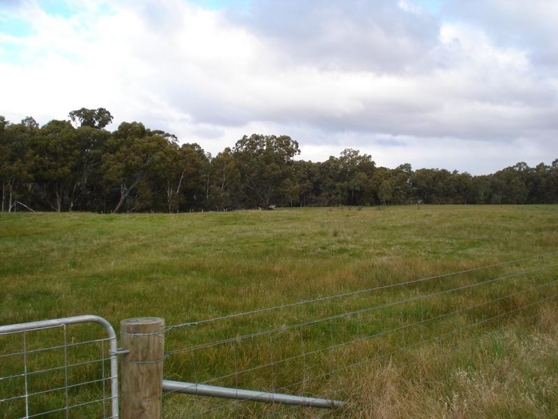 1215 DUNOLLY-TIMOR ROAD, Timor VIC 3465