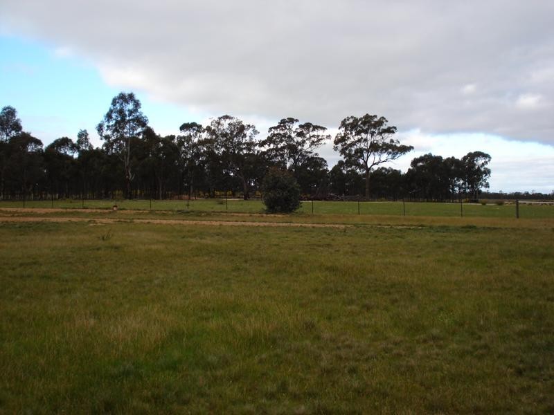 RMB 3201 DUNOLLY-MOLIAGUL ROAD, Moliagul VIC 3472