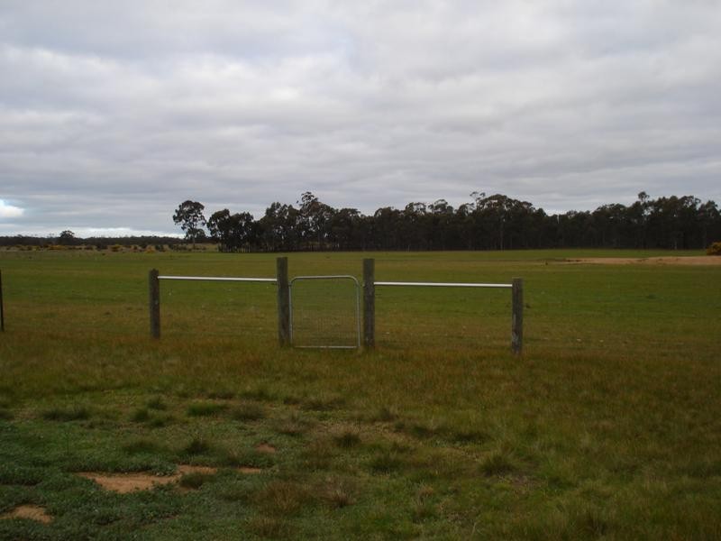 RMB 3201 DUNOLLY-MOLIAGUL ROAD, Moliagul VIC 3472