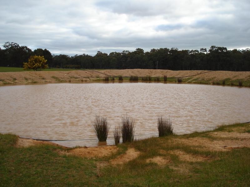 RMB 3201 DUNOLLY-MOLIAGUL ROAD, Moliagul VIC 3472