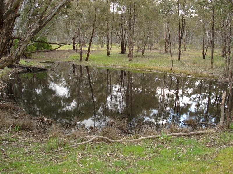 - BRIDGEWATER-DUNOLLY ROAD, Waanyarra VIC 3551