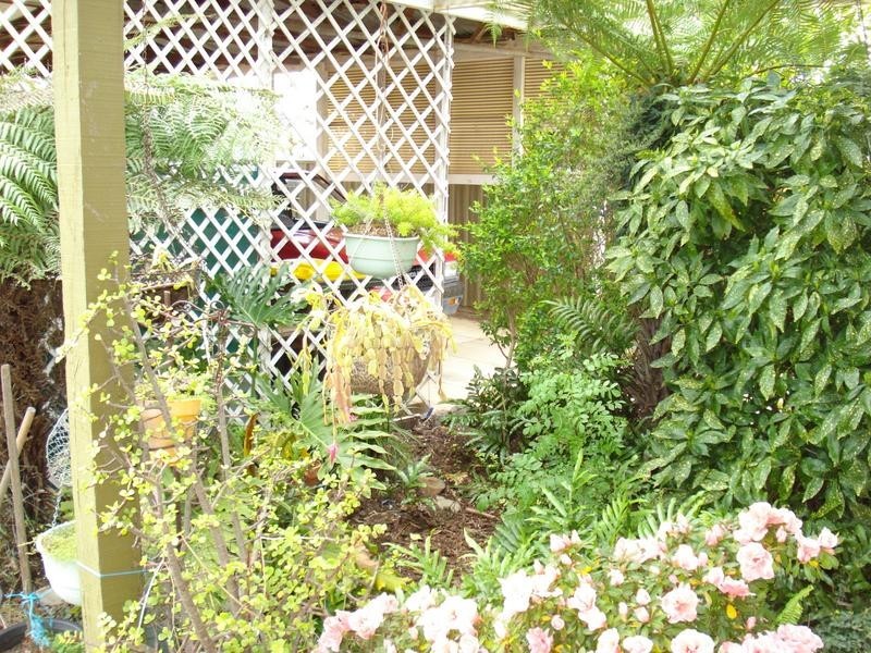 7 NAPIER STREET, Maryborough VIC 3465