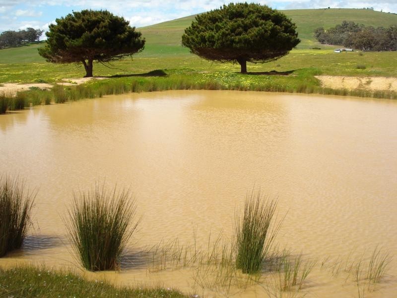 1725 McCallums Creek Road, Maryborough VIC 3465