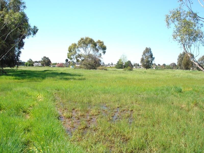 54 BELFAST ROAD, Carisbrook VIC 3464