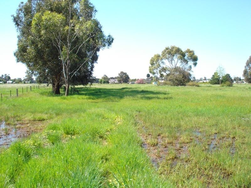 54 BELFAST ROAD, Carisbrook VIC 3464