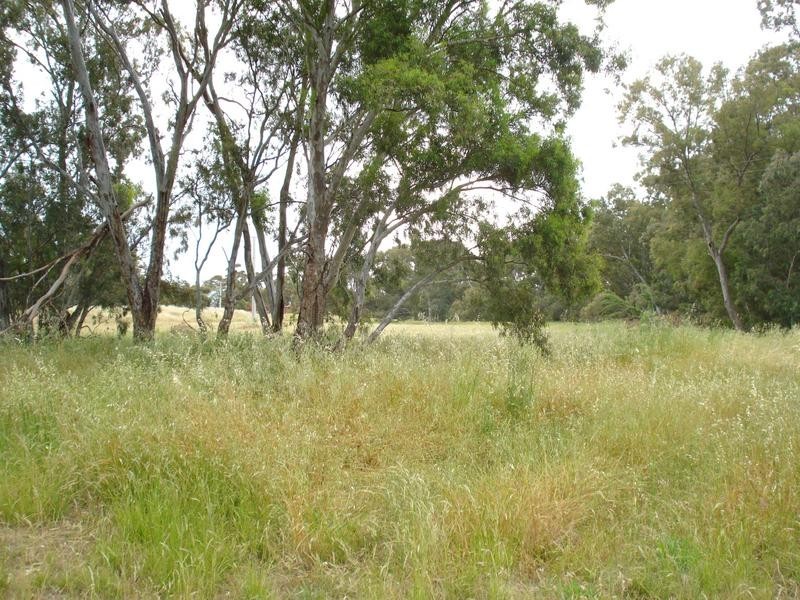 Dunolly – Timor Road, Timor VIC 3465