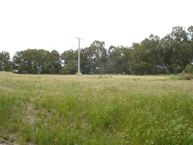 Dunolly – Timor Road, Timor VIC 3465