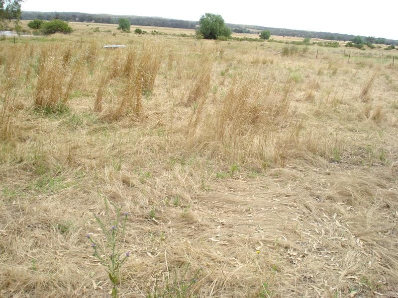 Talbot Road, Majorca VIC 3465