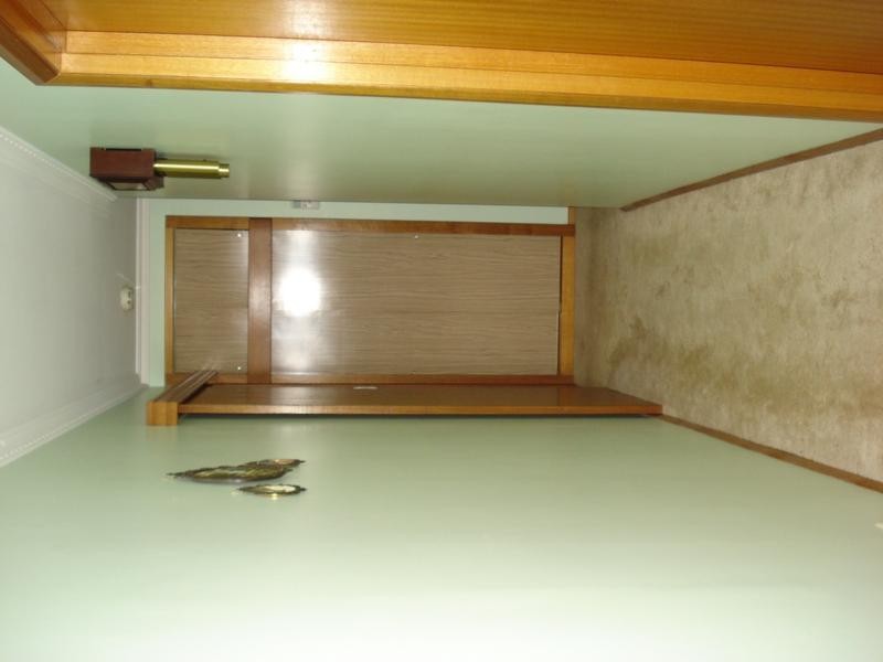 11 Bryant Street, Maryborough VIC 3465