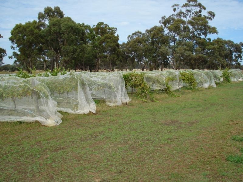 55 Collins Road, Amherst VIC 3371