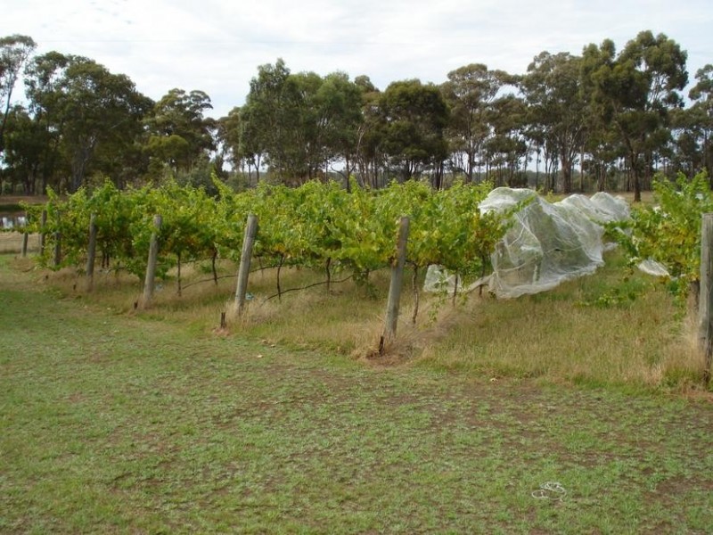 55 Collings Road, Talbot VIC 3371