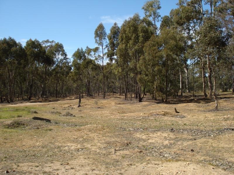 . Moretons LAne, Waanyarra VIC 3551