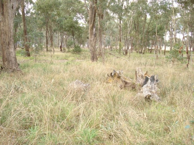 Lot 7, 4184 Pyrenees Highway, Flagstaff VIC 3465