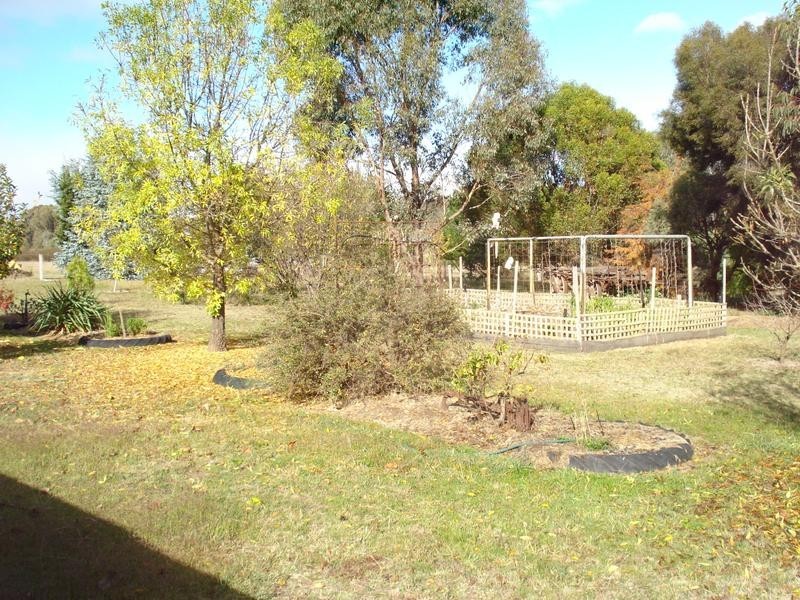 16 Moores Flat Road, Bung Bong VIC 3465