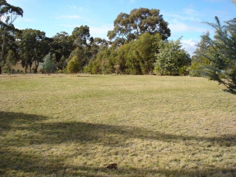 16 Moores Flat Road, Bung Bong VIC 3465