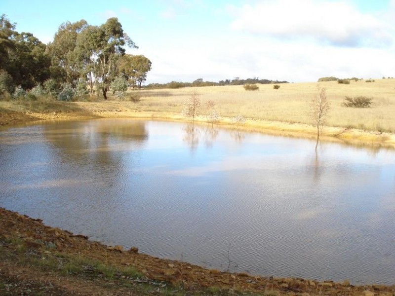 16 Moores Flat Road, Bung Bong VIC 3465