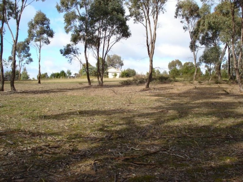 16 Moores Flat Road, Bung Bong VIC 3465