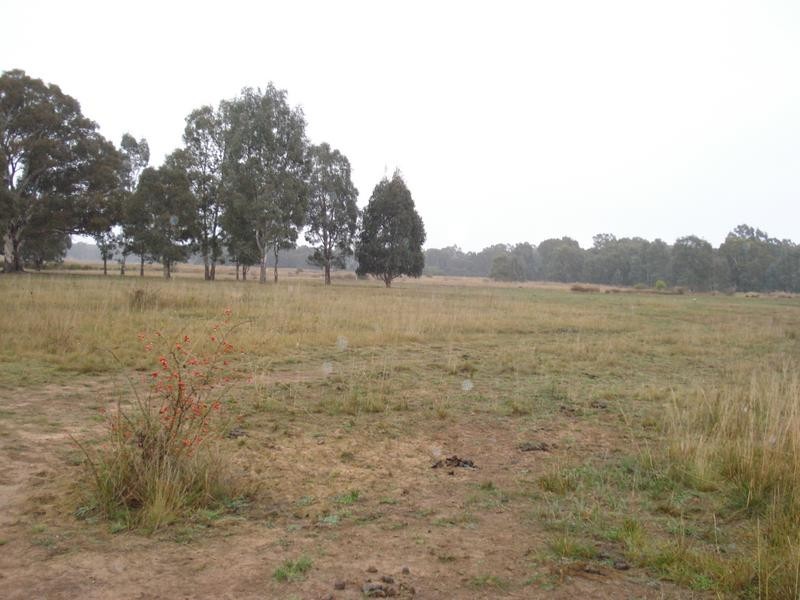 35 Peel Street, Talbot VIC 3371